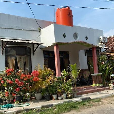 Owl Hostel Karimunjawa Dış mekan fotoğraf