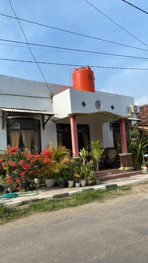 Owl Hostel Karimunjawa Dış mekan fotoğraf